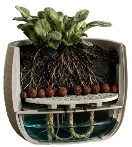 The Tranquil Pot Balance System cutaway