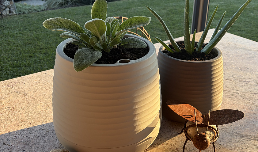 The Tranquil Pot