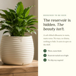 The Tranquil Pot