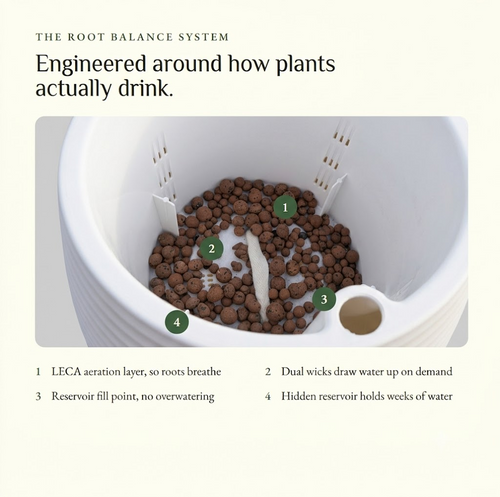 The Tranquil Pot